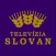 Televizia Slovan