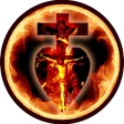 Sensus Fidelium App
