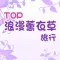 TOP浪漫薰衣草旅行