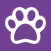 RVC Pet Epilepsy Tracker