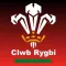 Rugby Club Manager