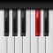 Piano Teacher