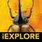 iBugs AR