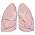 7Breaths - Respiratory rate calculator