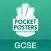 Geography GCSE Pocket Poster