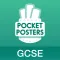Geography GCSE Pocket Poster