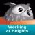 Working at Heights