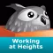 Working at Heights