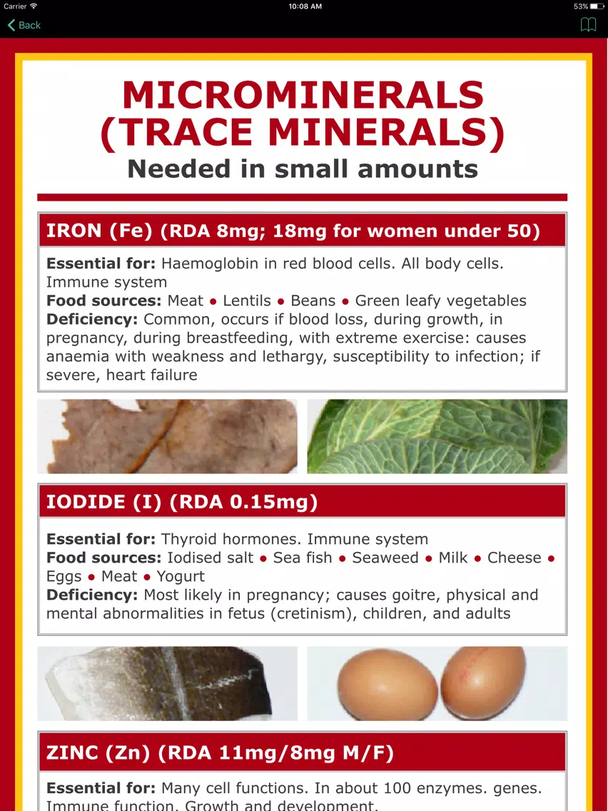 Zinc Counter and Tracker for Healthy Food Diets iPad Screenshots