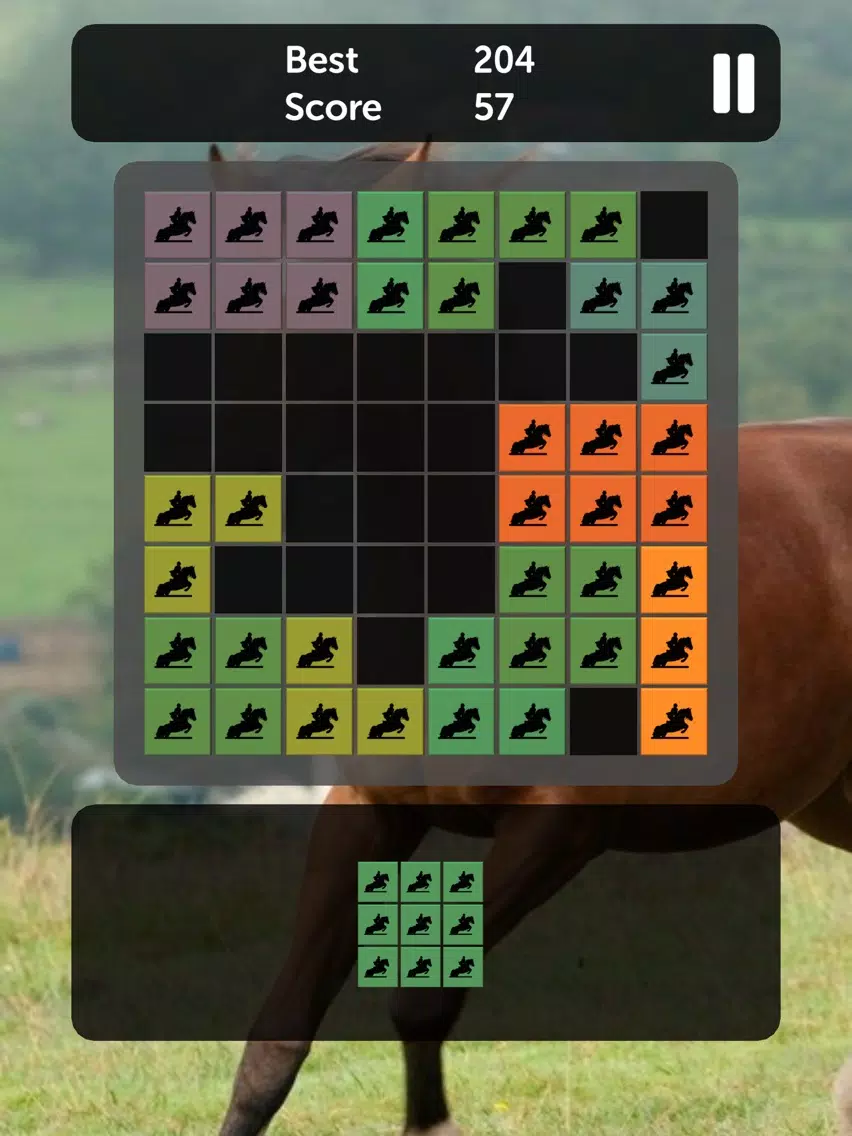 Horse Blocks - Puzzle Games iPad Screenshots