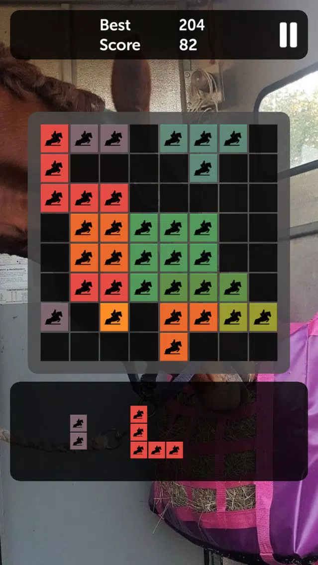 Horse Blocks - Puzzle Games Screenshots