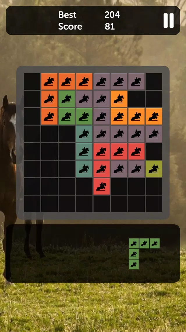 Horse Blocks - Puzzle Games Screenshots