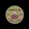 Hayle Kebab House