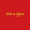 Hot N Spice