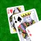 Mr Cards
