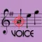 Note Hitter Voice