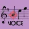 Note Hitter Voice Lite