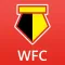 FN365 - Watford News Edition