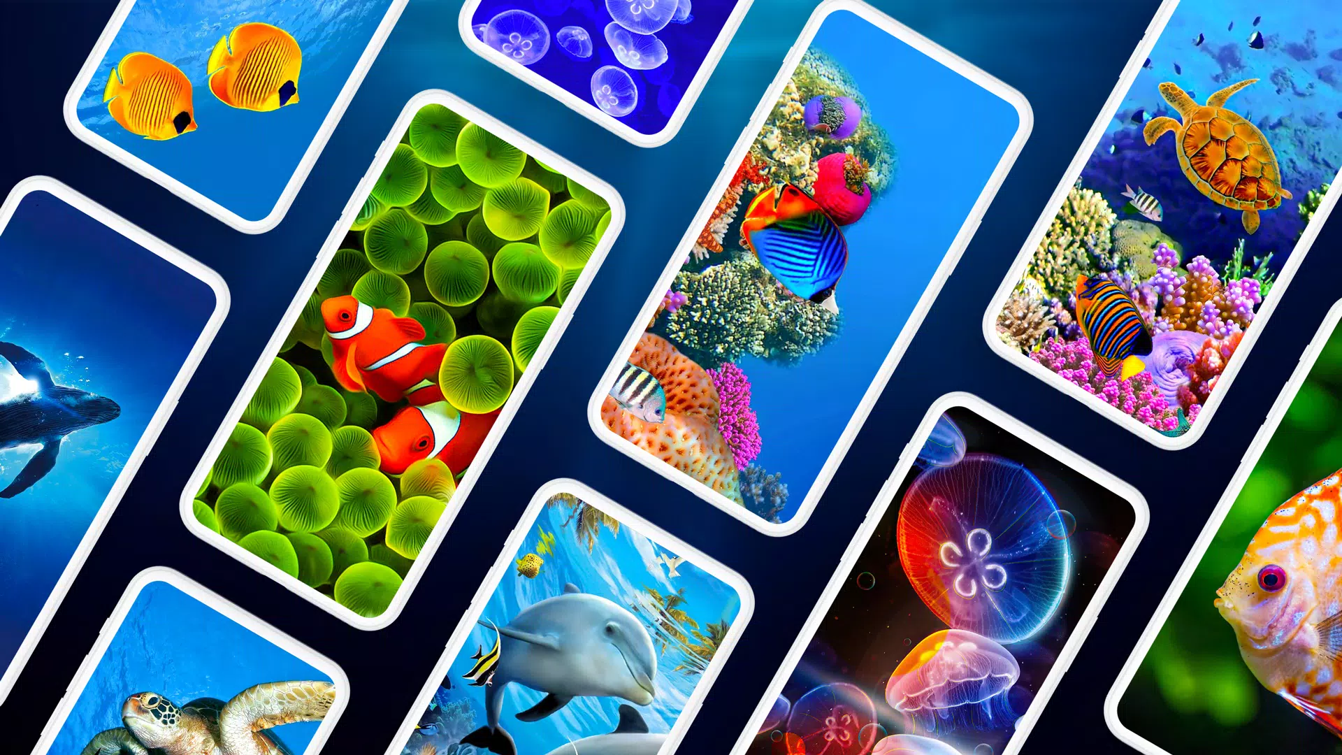Underwater Wallpapers 4K Screenshots