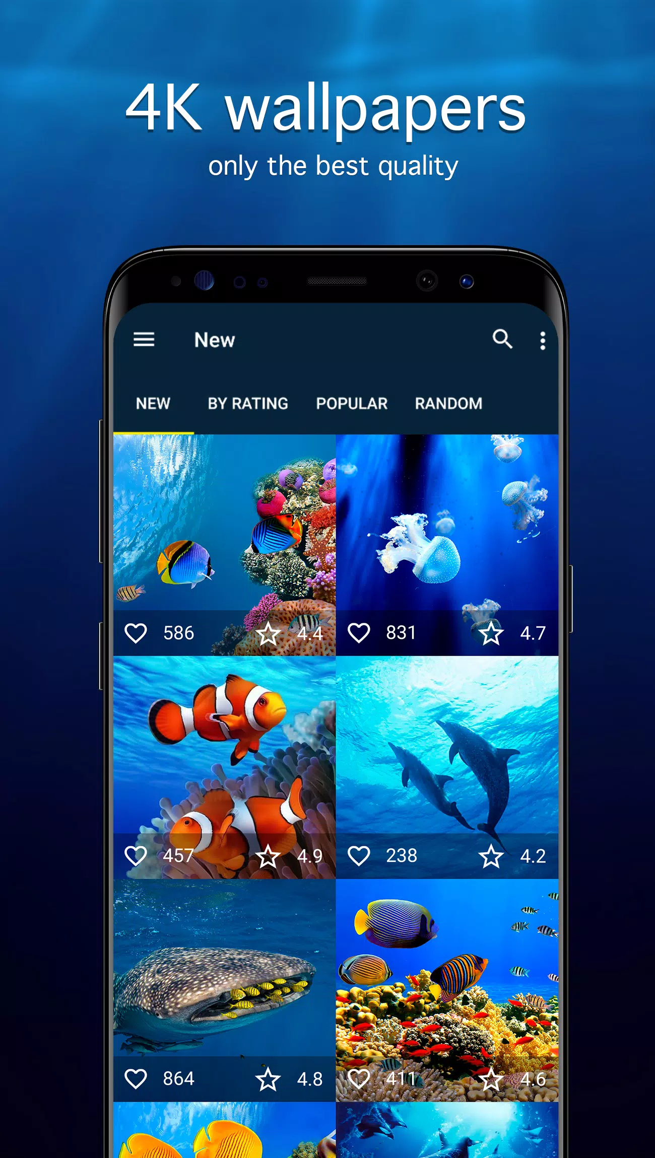Underwater Wallpapers 4K Screenshots