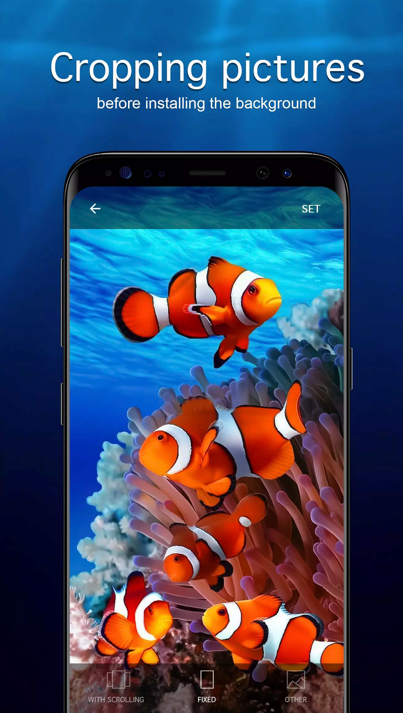 Underwater Wallpapers 4K Screenshots
