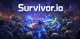 Survivor.io Review: Crowd Control, Build Synergy, and Grind