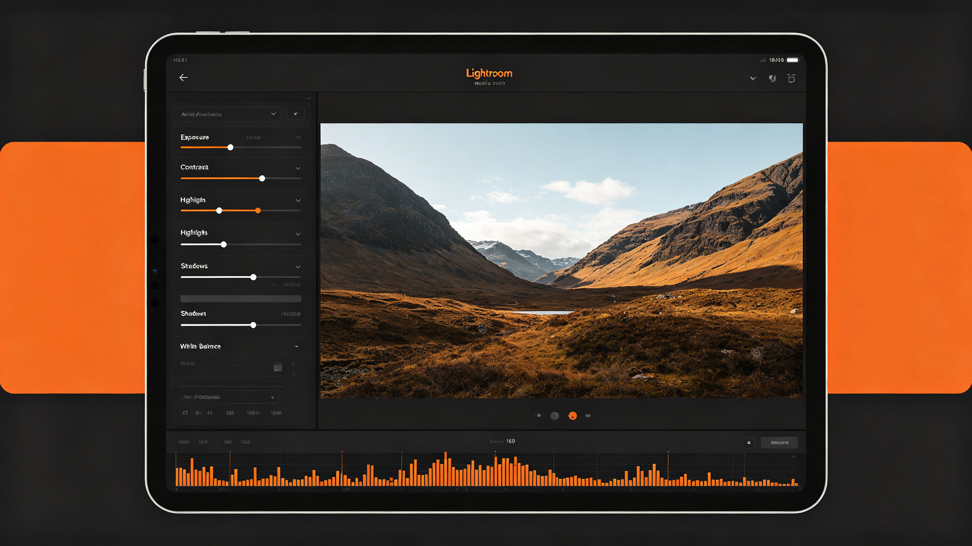 Lightroom Mobile interface