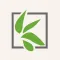 BioApp: Wetland Delineation