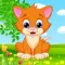 Shapes! Baby Learning Games 2+