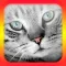 Cat Translator for Cats