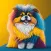Dog Translator for Dogs
