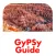 Zion Bryce Canyon GyPSy Guide