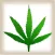 Marijuana App (for Medicinal purposes)