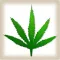 Marijuana App (for Medicinal purposes)