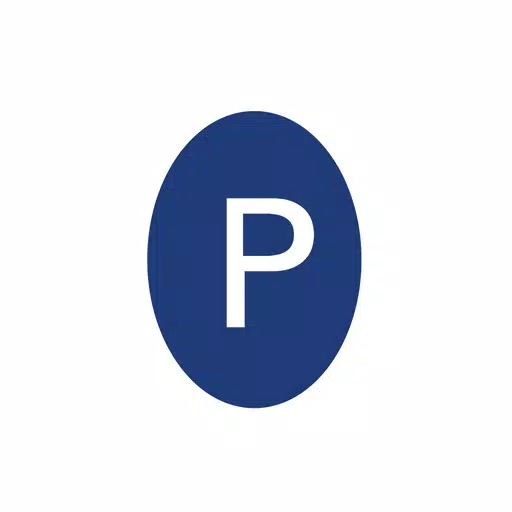 Pragmatic Conferencing Pragmatic Conferencing