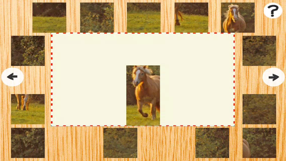Animated Haflinger Horse-s Wood Puzzle With Beautiful Ponies - Gratis Educational Kids Game Fun For the Whole Family. Girls and Boys Learn Screenshots