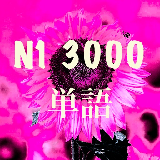 N1 単語
