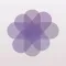 Vivid - Snap Filters