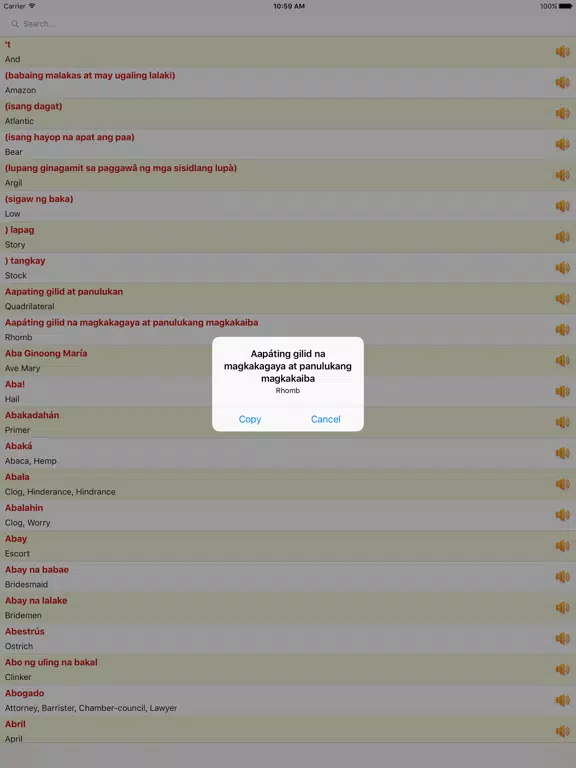 Tagalog to English Dictionary Offline New Free iPad Screenshots