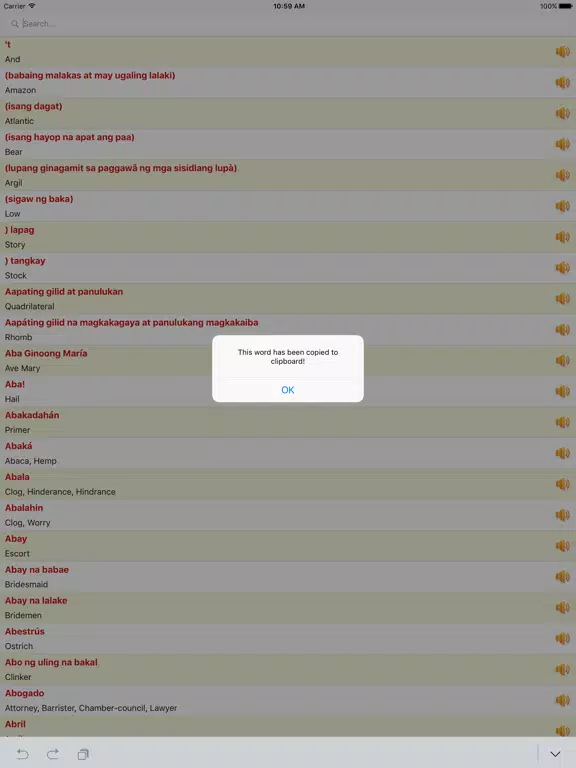 Tagalog to English Dictionary Offline New Free iPad Screenshots