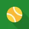 Tiny Tennis Match