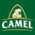 Camel Store