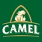 Camel Store