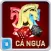Ca ngua 2015