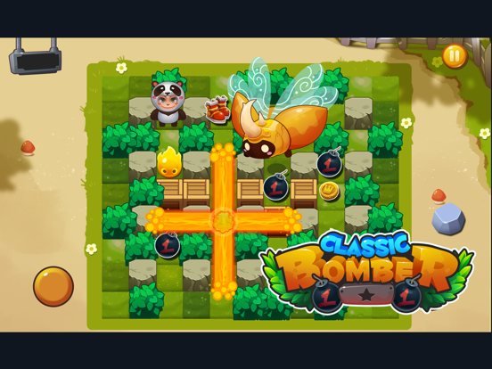 Classic Bomber - Bomba game iPad Screenshots