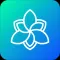 Chat AI Bot: Ask anything