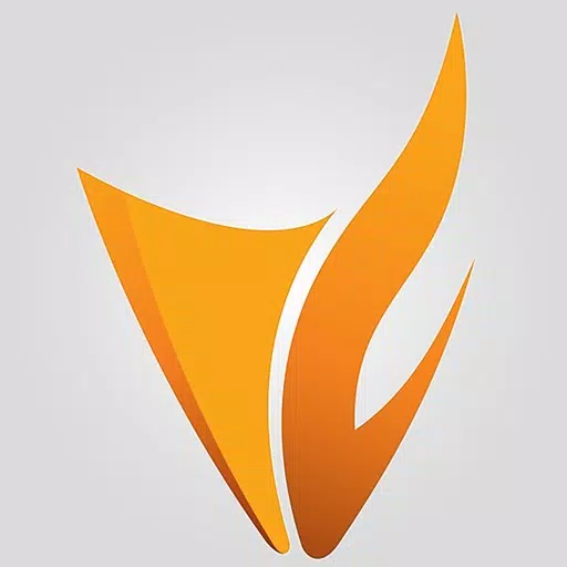 VFS Mobi