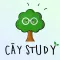 Cây Study