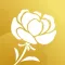 PureSkin Laser Clinic
