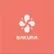 SAKURA FLOWER - Đặt hoa online
